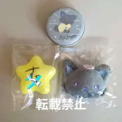 JO1 金城碧海 サインボール プチキャン シークレットブローチ