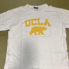 UCLA Tシャツ 130から140