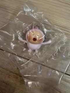 こびとづかん　モモジリ　キーホルダー　ガチャ　めじるし　ももじり