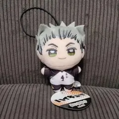 ハイキュー!!　ぬいぷりけmini3　木兎光太郞