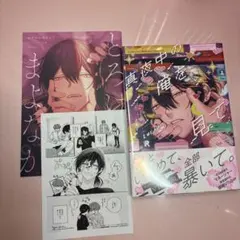 【新品・シュリンク未開封】真夜中の俺を見て