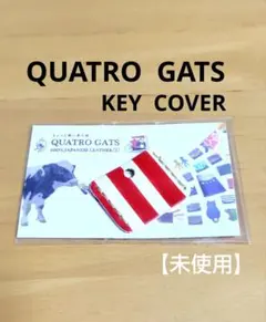 ♦QUATRO GATS •キー カバー 赤白ストライブ