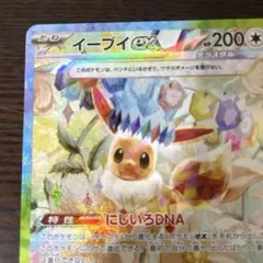 美品 テラスタルフェスex イーブイex SAR