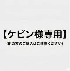 ケビン様専用②