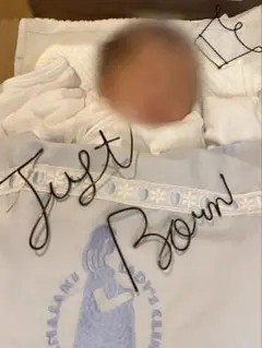 Justborn タペストリー ワイヤークラフト