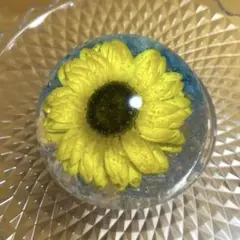 7-191 固まるハーバリウム　フラワードーム　ひまわり風　いつでも元気ひまわり