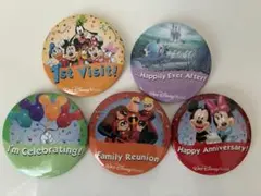 ディズニーワールド 記念日　缶バッジ 5個セット