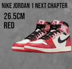 NIKE JORDAN 1 NEXT CHAPTER
