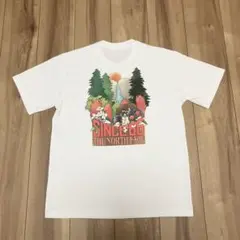 【美品】THE NORTH FACE バックプリント Tシャツ（メンズS） 速乾
