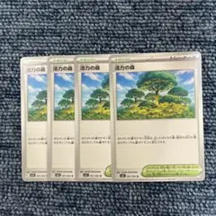 ポケモンカード 活力の森 4枚