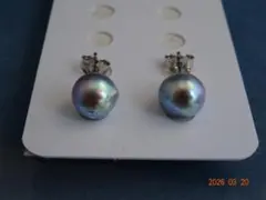 特価品！！！あこや真珠ナチュラルグレー8.7㎜　SV925ピアス