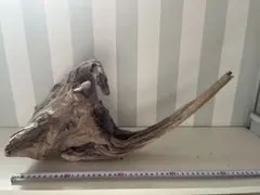 天然流木　2本セット