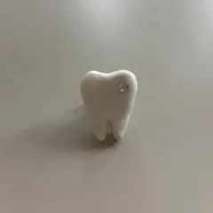 shury Labyrins Tooth-Shaped Clay Brooch