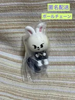 SKZOO つまんでつなげてますこっとでらっくす！　リノ　リービット　③