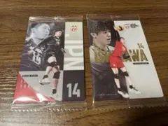 石川祐希 バレーボール男子日本代表 ツインウエハース