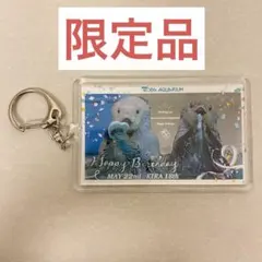 2026年最新】鳥羽水族館 ラッコ キーホルダーの人気アイテム - メルカリ