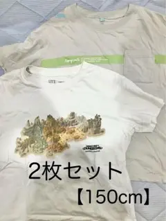 半袖Tシャツ2枚セット 150cm