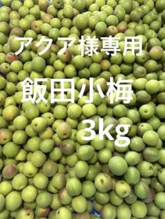 アクア様専用　飯田小梅 訳あり3kg