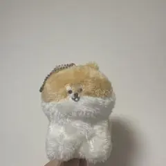 柴犬 キャラクターグッズ