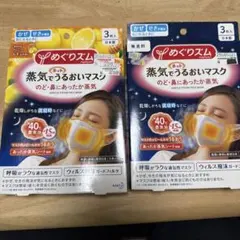蒸気でうるおいマスク 2個セット