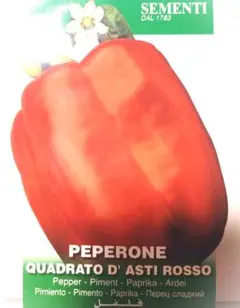 ぶーびー様 リクエスト 2点 まとめ商品