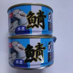 ニッスイオホーツクの塩と岩塩使用さば鯖の水煮サバ缶180g×2個セット