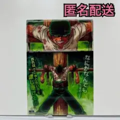 【A217】ONE PIECE ジャンボカードダス クリアプレート ゾロ