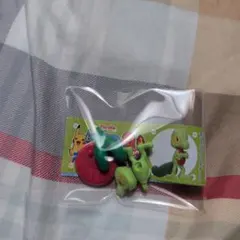 ポケモン チョコエッグ キモリのサムネイル