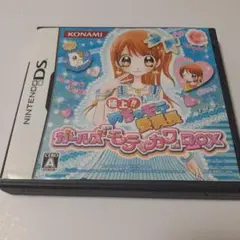 極上めちゃモテ委員長　ガールズモテカワBOX DSソフト