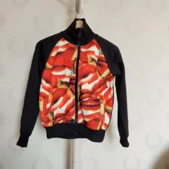 Item thumbnail for item f20009f6-e102-40f6-8e9c-2c0dfeb53c1e