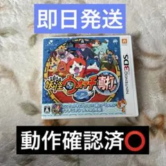 ✴︎迅速即日発送✴︎強データ！妖怪ウォッチ2 真打 3DS