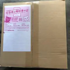 【新品未開封】ポケモンカード　mega 拡張パック　メガシンフォニア　セット