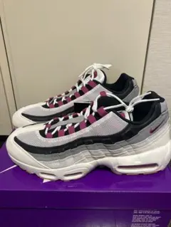 NIKE SB エアマックス95 カクタスフラワー 29cm