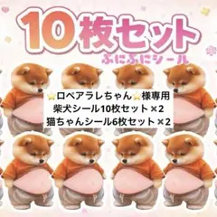 ⭐ロペアラレちゃん⭐様専用4点まとめ売り