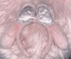 マイメロディ　カチューシャ