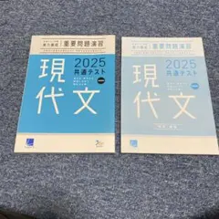 現代文 2025 共通テスト重要問題演習