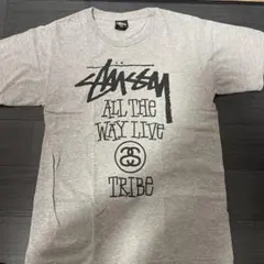 STUSSY グレー Tシャツ Sサイズ値下げ交渉します！！