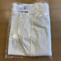 ミズノ　ユニホームパンツ　レギュラー　アイボリー　52PW38748 XO
