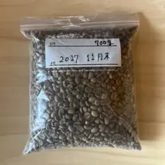 カフェインレス】生豆 コーヒー 2028年賞味期限 - メルカリ