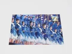 日向坂46 7回目のひな誕祭　封入特典　ポストカード