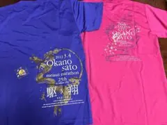 Item thumbnail for item c1b6c8b6-1cfb-4f67-9381-bd6db4570110