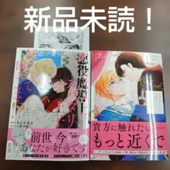 BL悪役魔導士なのにスパダリ王子に好かれて　出来損ないの次男は冷酷公爵様に溺愛2