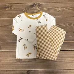 チップとデール　セットアップ