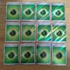 基本草エネルギーSR　12枚セット