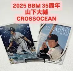 Item thumbnail for item c9885cac-fa4b-499d-827a-75f296863a8d