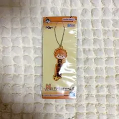 ハイキュー 日向翔陽 一番くじ 頂の景色 N賞 アクリルチャーム