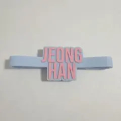 SEVENTEEN JEONGHAN ジョンハン　ペンライトアクセサリー