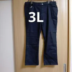 か*ん様 大きいサイズレディース女性用 黒 カジュアルパンツ 3L