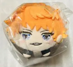 い*か様 ヒプノシスマイク ヒプマイ レペゼン マルイ 2025 もちころりん