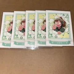 忍たま乱太郎 4弾　ぱしゃこれ 善法寺伊作 セット